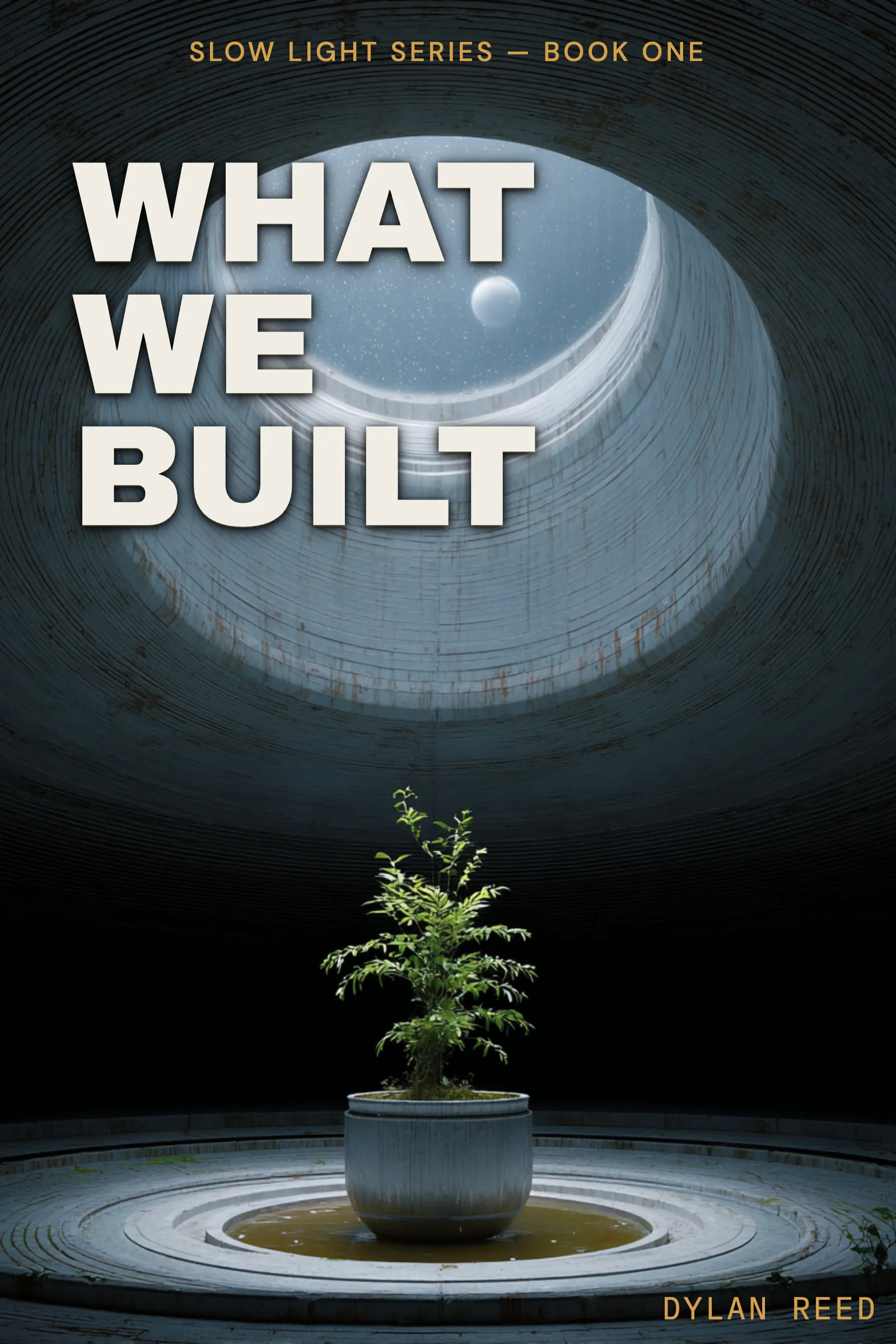 What We Built cover
